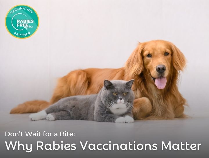 Why Keeping Rabies Vaccinations Up to Date Matters | Proud Rabies Free Africa Partner